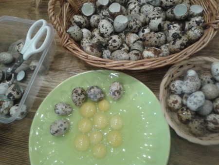 Prepeličie vajíčka